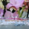 Swarovski Spring Daisy Flower Earrings - Image 2